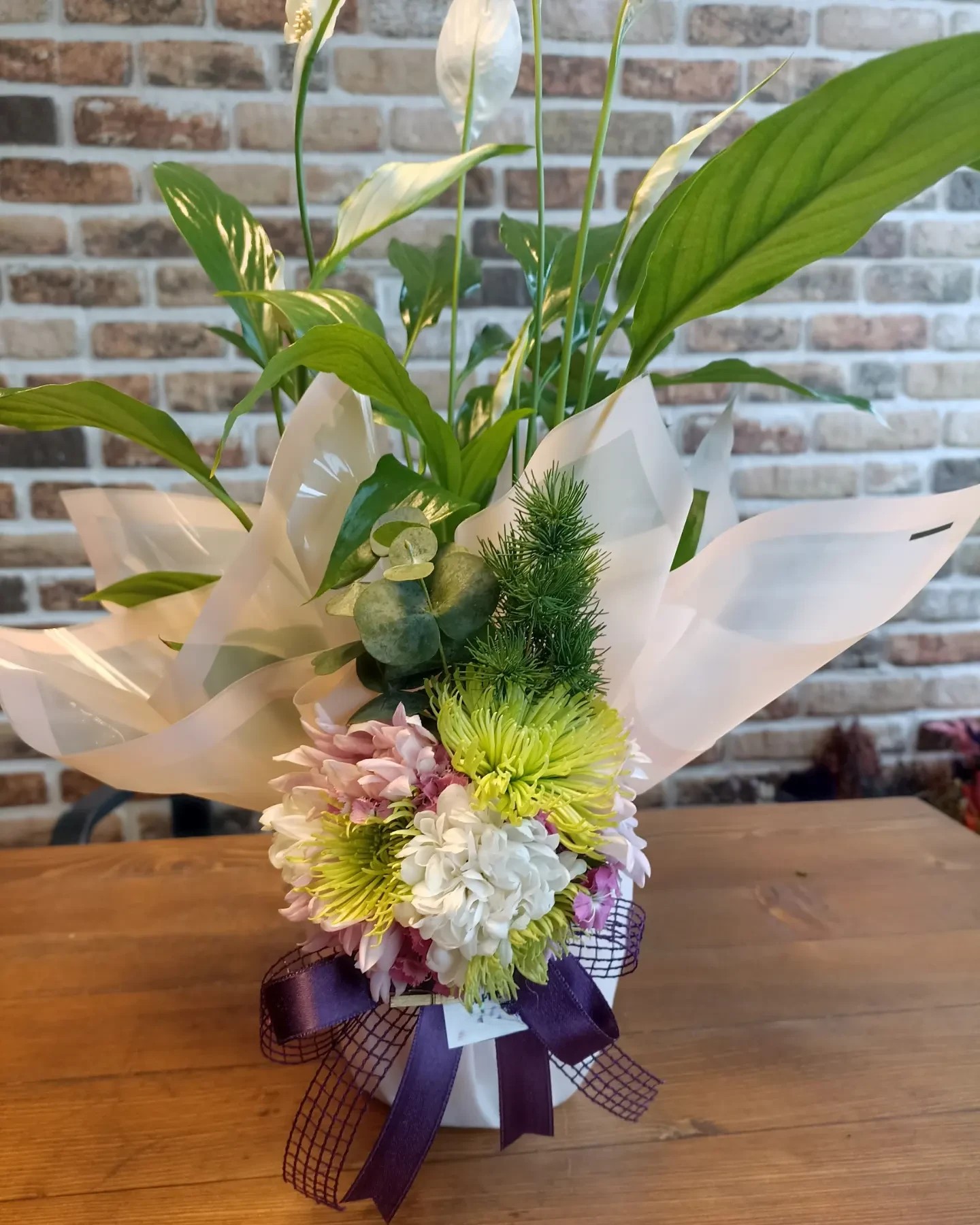 Beyaz Barış Çiçeği (Spathiphyllum) Saksıda