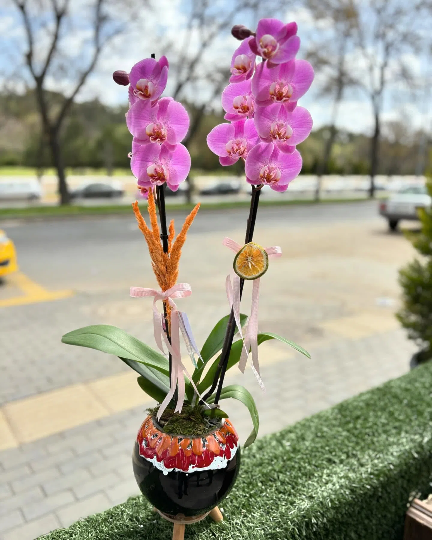 Pembe Rüya – Çift Dal Pembe Orkide ve Dekoratif Seramik Saksı