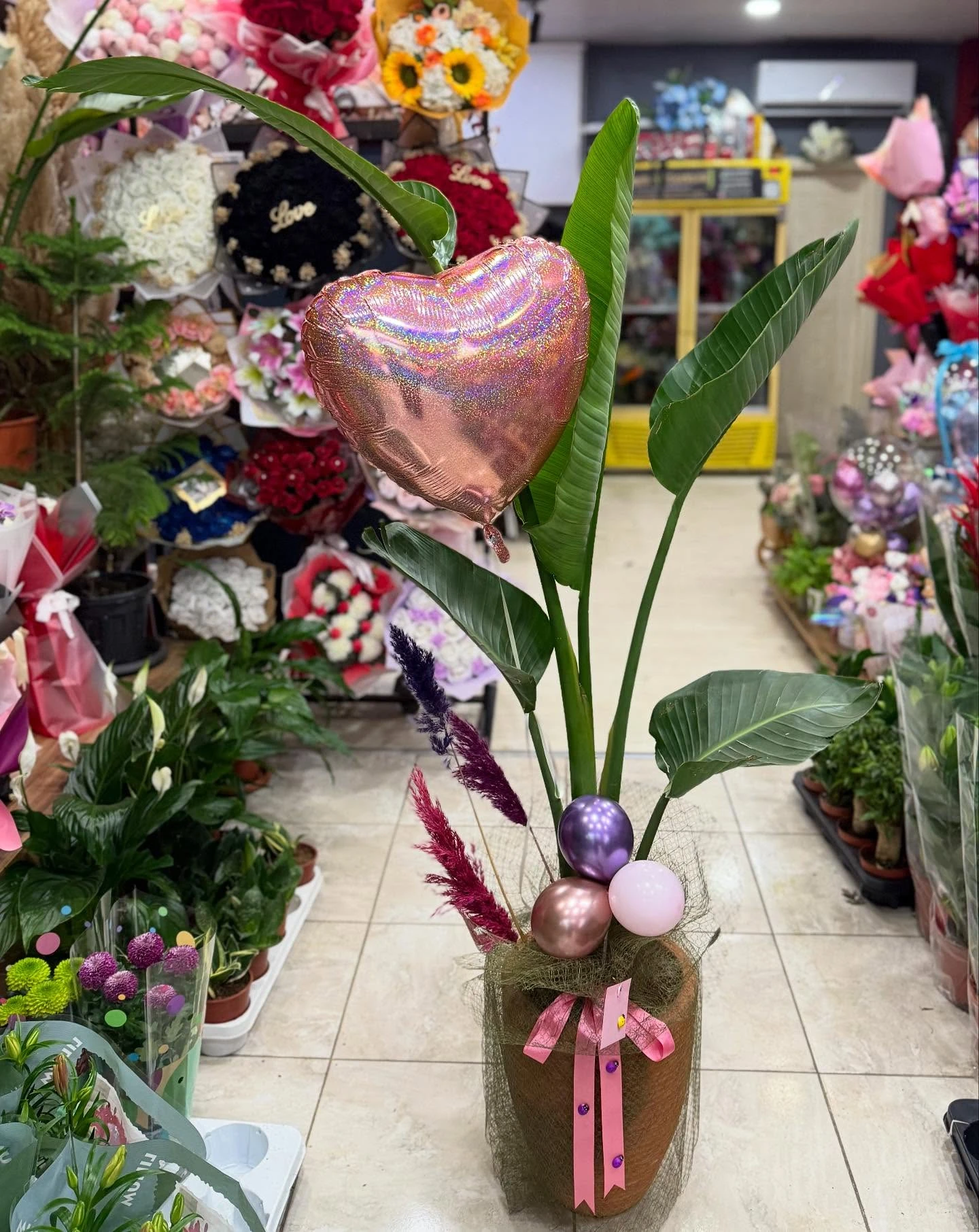 XL Starliçe Saksıda Bitki Aranjmanı