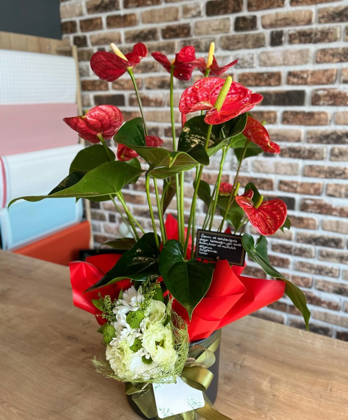 Kırmızı Antoryum (Anthurium) Saksıda