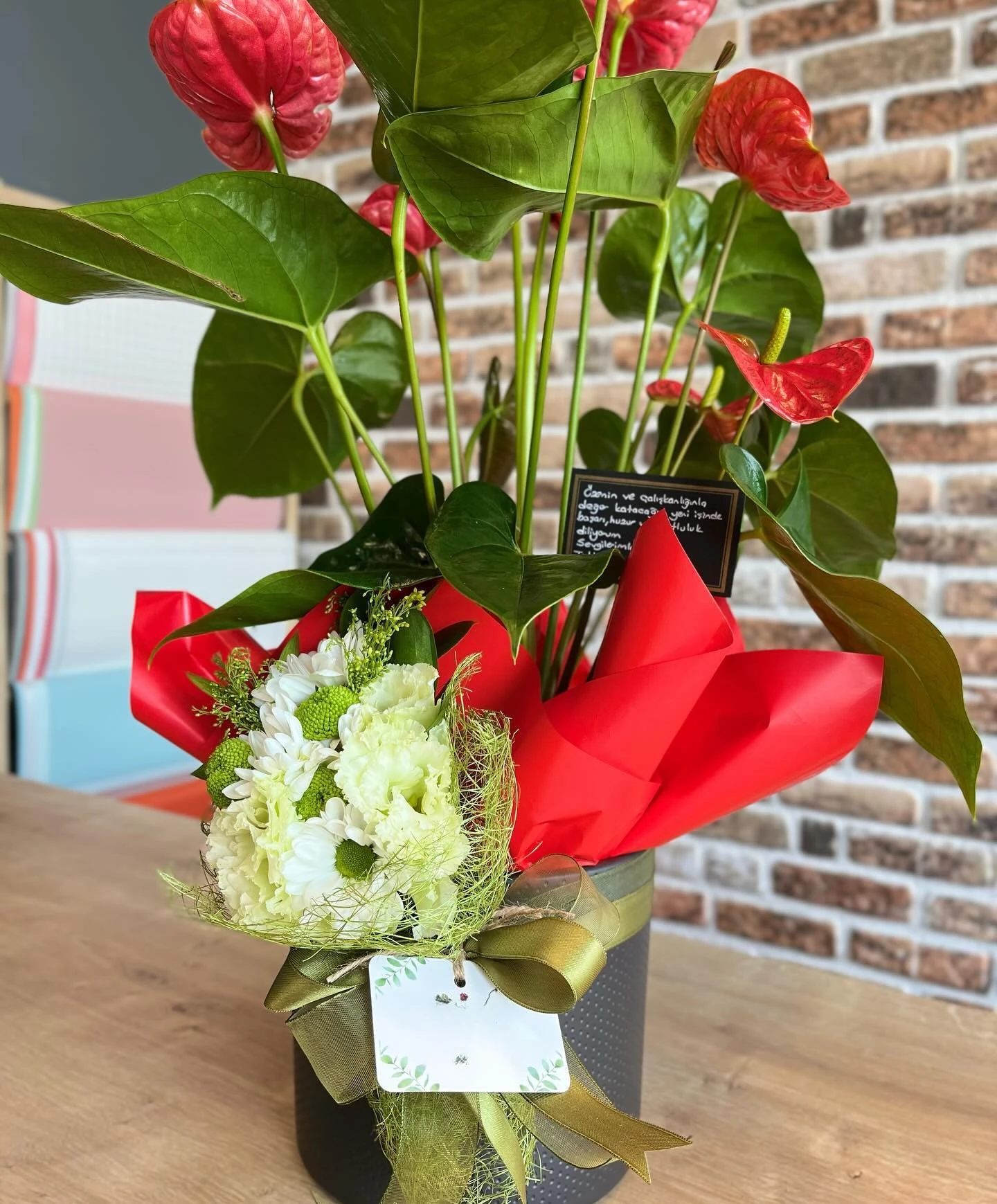 Kırmızı Antoryum (Anthurium) Saksıda